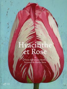 Hyacinthe et Rose